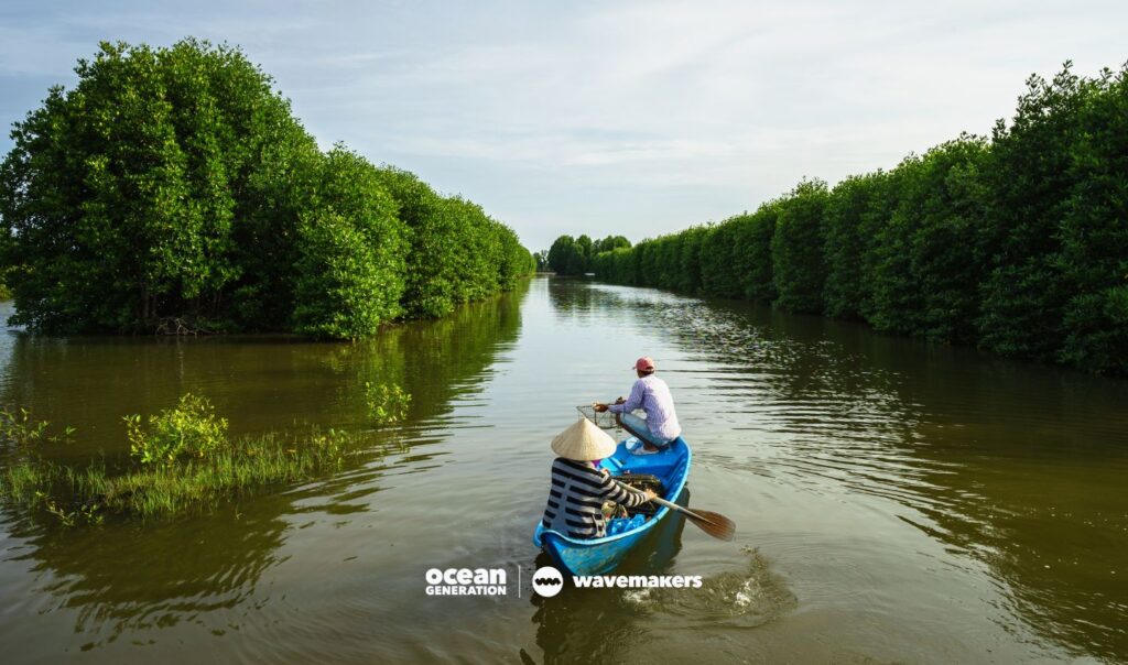 In the past, mangrove wood was used for the charcoal industry. A Wavemaker Story, posted by Ocean Generation.