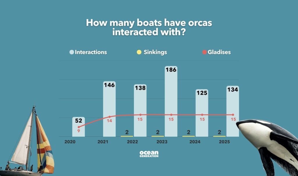How many boats have orcas interacted with? Explained by Ocean Generation