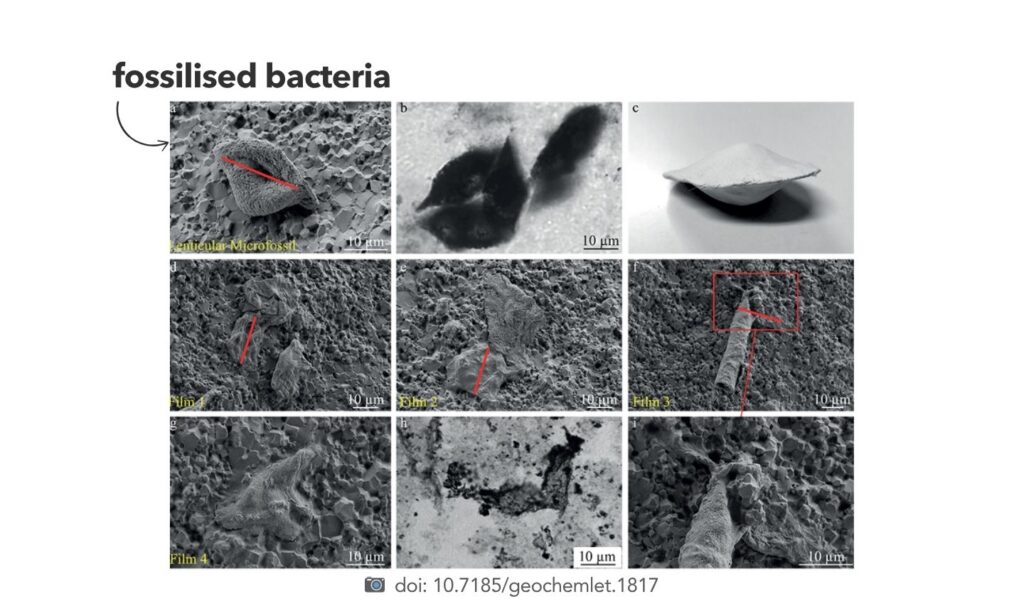 Strelley Pool fossils, posted by Ocean Generation.