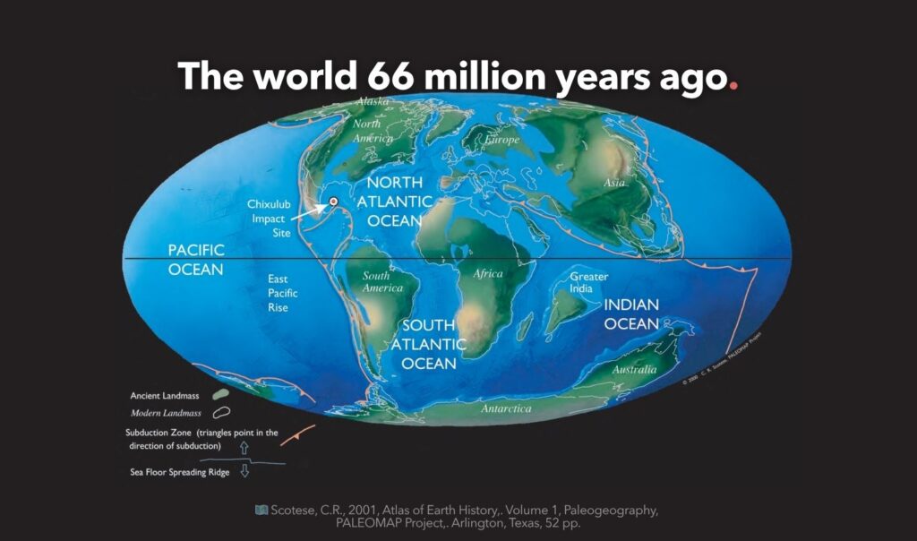 The world 66 million years ago.