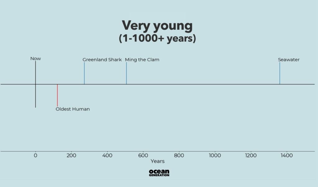 Very young things in the Ocean. A timeline by Ocean Generation.
