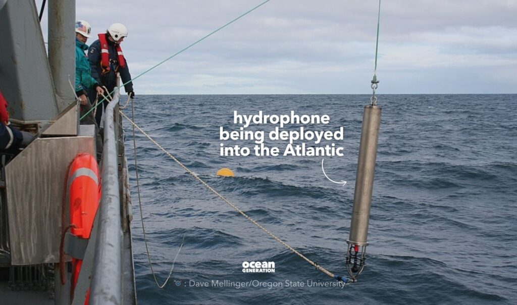 Hydrophone being deployed in the Ocean. Posted by Ocean Generation.