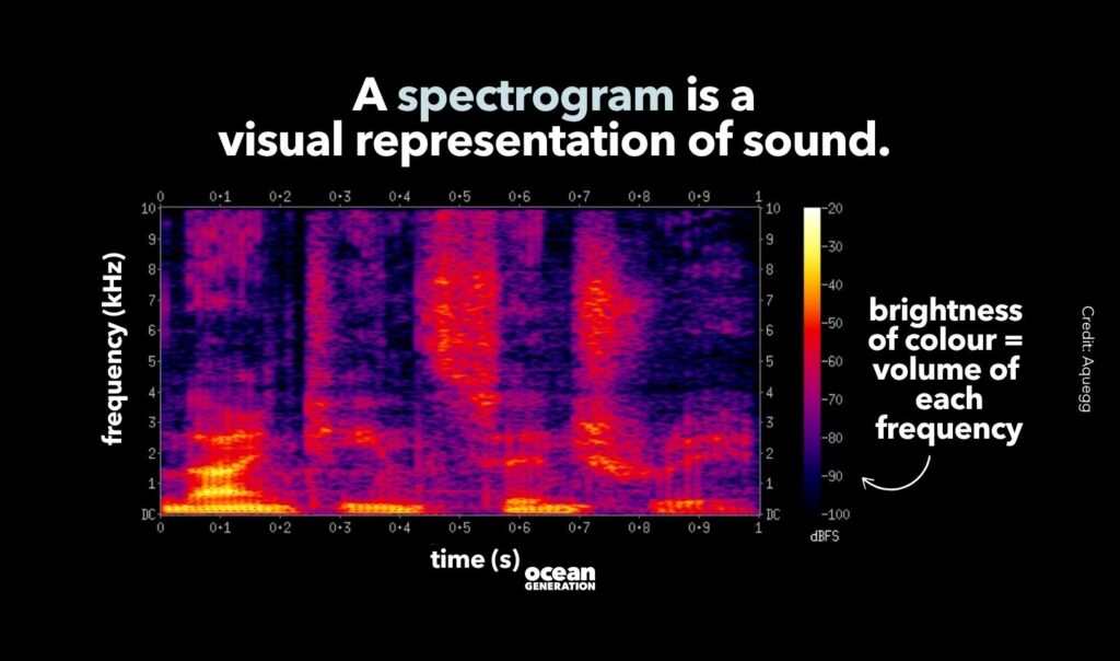 A spectrogram is a 
visual representation of sound. 