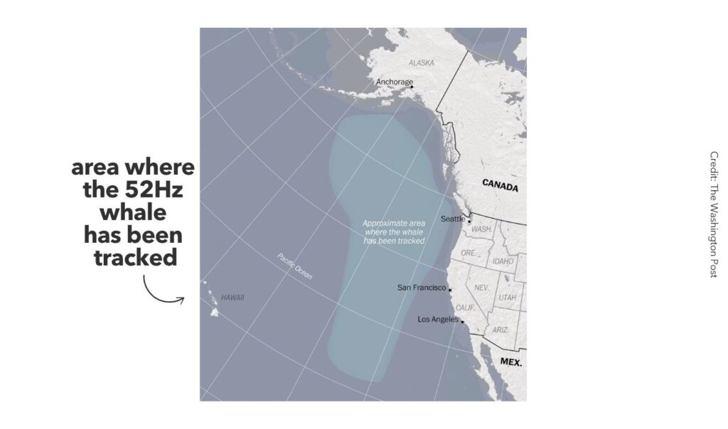 Map showing the area where the 52HZ whale had been tracked.