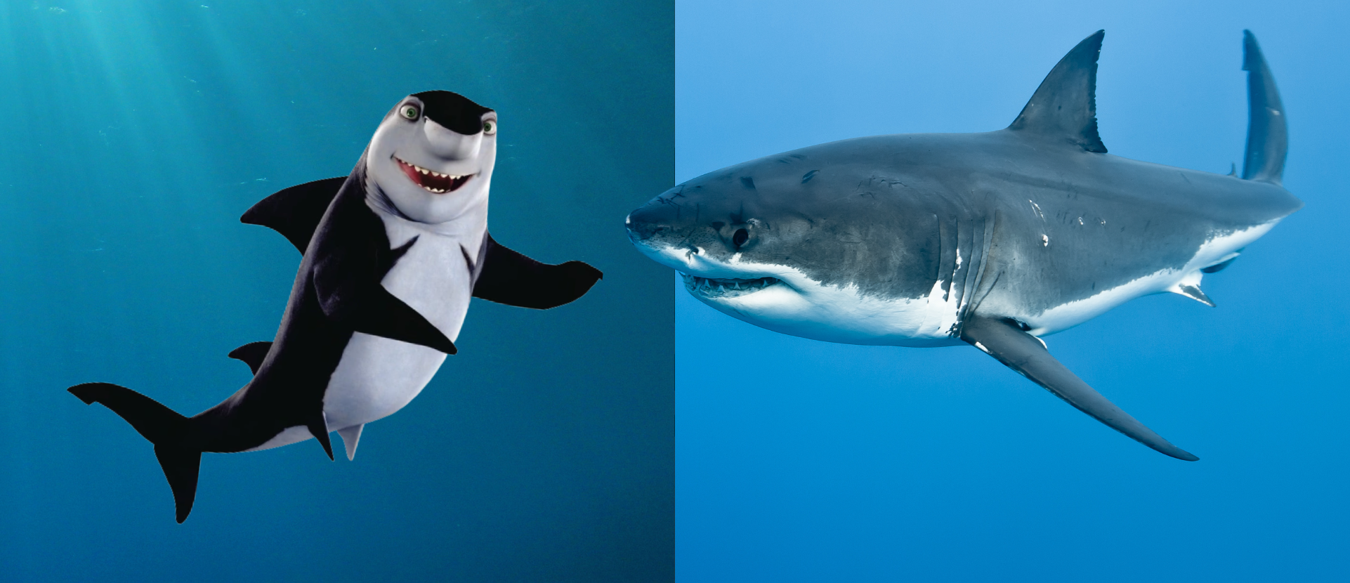 How accurate is Shark Tale?
